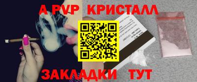 амф Сланцы