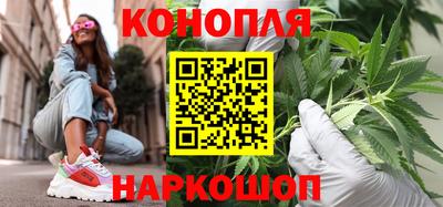 амф Сланцы