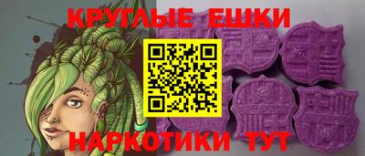 амф Сланцы