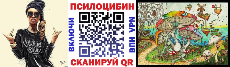 hydra как войти  Волоколамск  Галлюциногенные грибы Psilocybe 