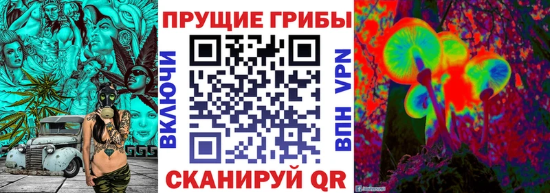 Галлюциногенные грибы Psilocybine cubensis Волоколамск