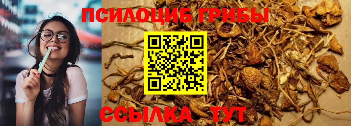 Волоколамск  Галлюциногенные грибы мухоморы  Вход с VPN 